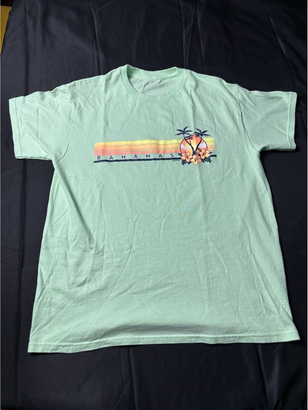 The Bahamas Tropical Palm Tree Sunset Graphic T-Shirt Green,